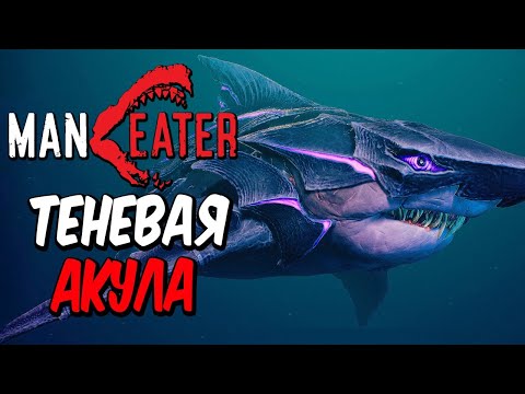 Видео: MANEATER ● Прохождение #5 ● ТЕНЕВАЯ АКУЛА-МЕГАЛОДОН ПОЖИРАЕТ ЛЮДЕЙ!