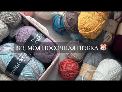 Видео: ВСЯ МОЯ НОСОЧНАЯ ПРЯЖА | СПИЦЫ И БЛОКАТОРЫ