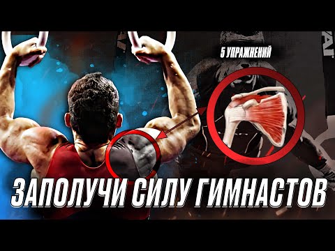 Видео: ВОТ ПОЧЕМУ ГИМНАСТЫ ТАК СИЛЬНЫ. ТОП 5 УПРАЖНЕНИЙ!