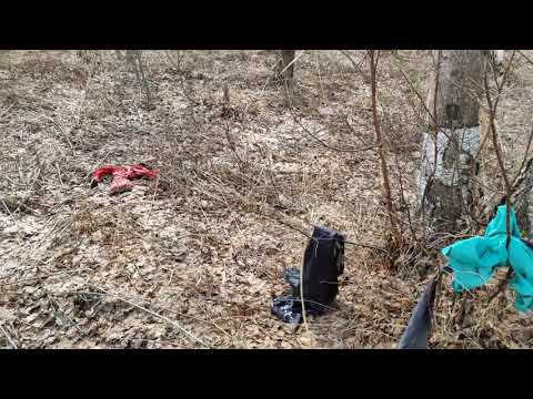 Видео: Кто живëт в лесу? Дикари отшельники. Мраково