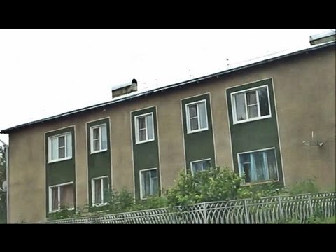 Видео: Косиха проездом