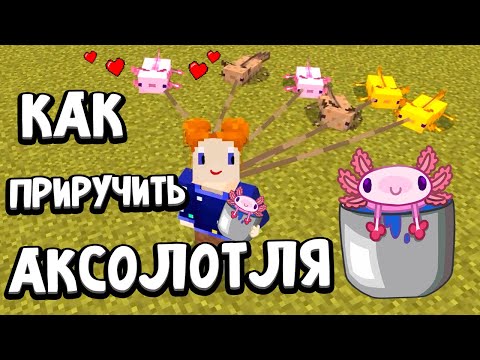 Видео: РЕСТОРАН ДЛЯ АКСОЛОТЛЕЙ 😂 ЗАЧЕМ Я ЕГО ПОСТРОИЛА 🙆 🤣 майнкрафт выживание