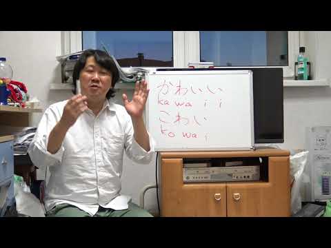 Видео: 「かわいい」「こわい」？　Kawaii или Kowai?