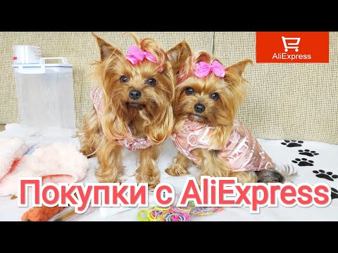 Видео: Покупки с AliExpress для собак