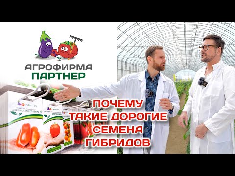 Видео: Почему такие дорогие семена гибридов. Процесс гибридного семеноводства