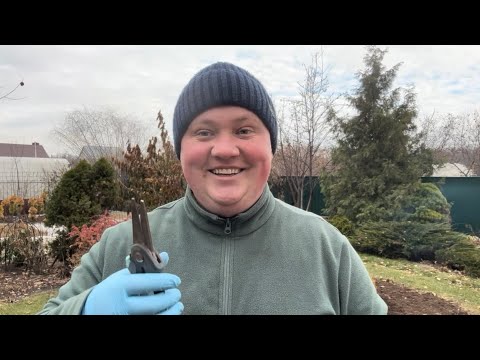 Видео:  Важные осенние работы в конце  сезона 💚🌷🍂