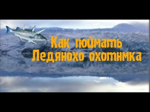 Видео: 16) My Fishing World Как поймать ледяного охотника!?