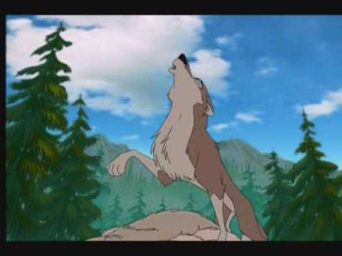 Видео: Wolfs. Ничего нет сильнее любви.