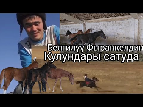 Видео: Бүгүн 29 октября 2025 Фыранкелдин кулундары сатуга чыкты #атбазар 