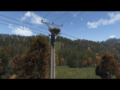 Видео: Dayz сервер Your story. Излом, заяц, медсестра, младенец.