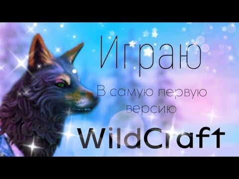 Видео: Играем в самую первую версию WildCraft!!//~Wild Fox~ #wildcraft