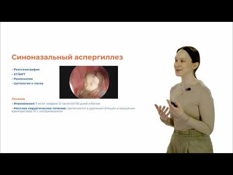 Видео: Болезни верхних дыхательных путей собак