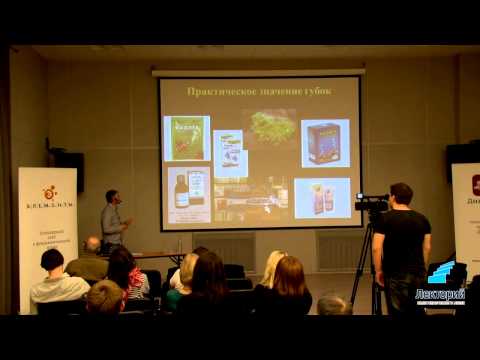 Видео: Ересковский Александр "Простые, но не примитивные: мир губок"