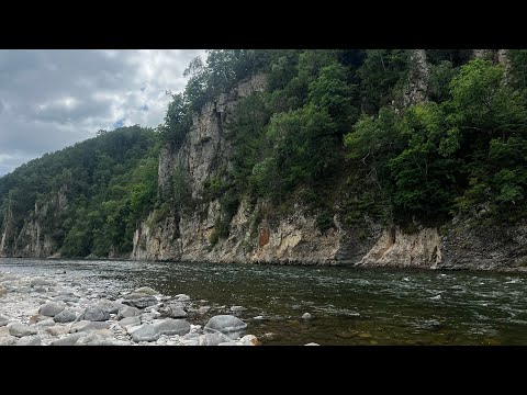 Видео: Дорога Кавалерово -Малая Кема. Остановились в устьях Кемы на ночевку #prado120 #путешествие