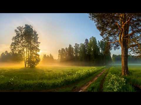 Видео: Катха Упанишада читает Илья Журавлёв