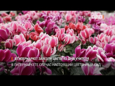 Видео: В гипермаркет завезли цветы ко Дню учителя