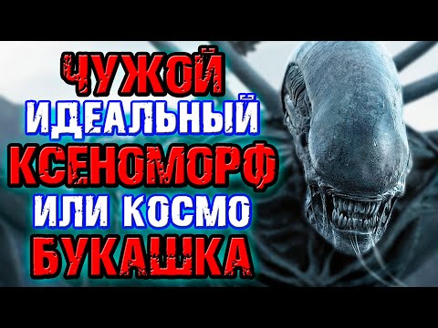 Видео: Чужой - идеальный ксеноморф или космобукашка [ОБЪЕКТ] Alien