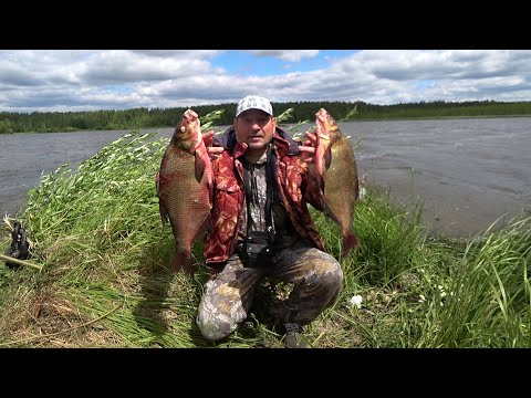 Видео: БЕЛОЯРСКОЕ ВОДОХРАНИЛИЩЕ! ЛЕЩИ ЗАБАБАХИ! ЖОР В ШТОРМОВОЙ ВЕТЕР НА ДИКОМ МЫСУ! МЫ НЕ ОЖИДАЛИ ТАКОГО!