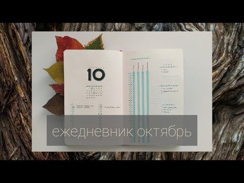 Видео: Bullet journal Октябрь // Минимализм в развороте 2019