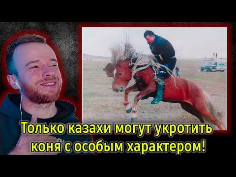 Видео: Реакция | Только казахи могут укротить коня с особым характером! | KOLA KZ