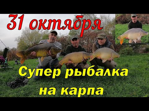 Видео: Супер рыбалка на карпа 31 октября!