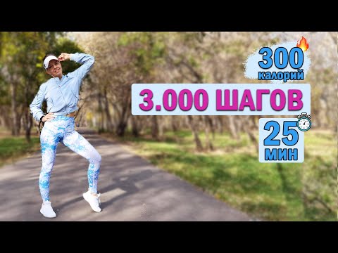 Видео: КАРДИО тренировка 3000 ШАГОВ. Сжечь 300 калорий за 25 МИН | Natinfitness