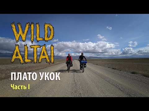 Видео: Алтай. Велопутешествие на Плато Укок. Часть 1