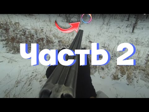 Видео: ЧАСТЬ 2.ОХОТА НА ЗАЙЦА.ВОЗЬМЕМ ПРОФЕССОРА?