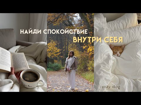 Видео: Как вернуть себе настроение в серые дни | Осенний влог 🍂🕯️