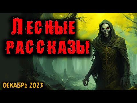 Видео: ЛЕСНЫЕ РАССКАЗЫ | Страшные истории