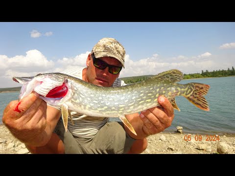 Видео: НА СУПЕР СНАСТЬ!!СУДАК ЩУКА ОСЕНЬ.НА ЖИВЦА.