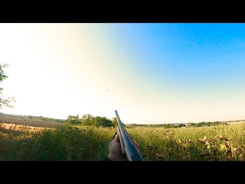 Видео: Охота на дикого голубя/ пришла проверка с минестерства природных ресурсов/ 90% попаданий я снайпер))