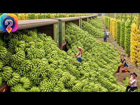 Видео: Современная сельскохозяйственная техника на новом уровне — фермеры собирают миллиарды тонн урожая!