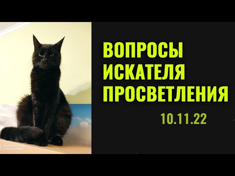 Видео: Встреча Веретенникова с духовным искателем просветления | ноябрь 2022