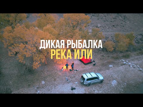 Видео: РЕКА ИЛИ - ЖАРЕННАЯ ФОРЕЛЬ И СТЕЙКИ ИЗ МРАМОРНОГО МЯСА - А СУДАК СМОТРИТ ИЗ ВОДЫ