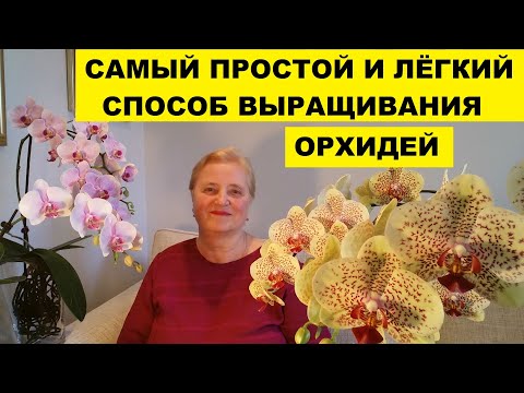 Видео: САМЫЙ ПРОСТОЙ и ЛЕГКИЙ СПОСОБ ВЫРАЩИВАНИЯ ОРХИДЕЙ