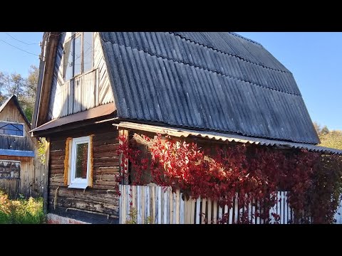 Видео: Долгожданные выходные на даче