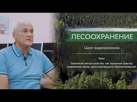 Видео: Лесоустройство  – это..? Почему без лесоустройства – невозможно лесное хозяйство, сохранение лесов?