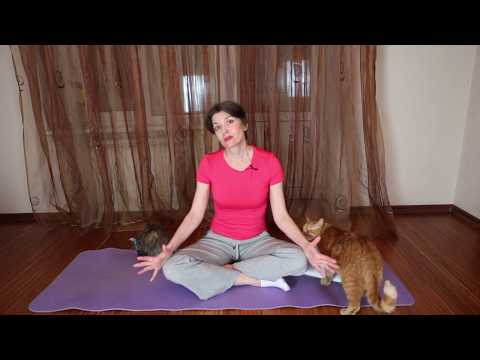 Видео: 15 ЛЕТ В ЙОГЕ. ПЛЮСЫ И МИНУСЫ ЙОГИ. КАК ВЫБРАТЬ ИНСТРУКТОРА.