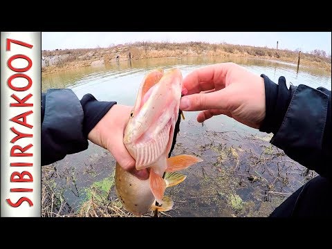 Видео: ВОТ ЭТО КАЙФ рыбалка!.. Ловля щуки на Ультралайт!