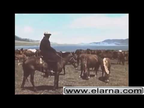 Видео: 1955-жылғы қытай қазақтары, 1955-zhil kitay kazakh qazaqtari , china 哈萨克