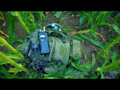 Видео: Радиосвязь из полей. Из поля кукурузы )