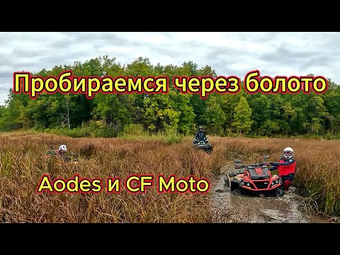 Видео: Катаемся через болото на квадроциклах Aodes Mud Pro, CF Moto и Yamaha Grizzly