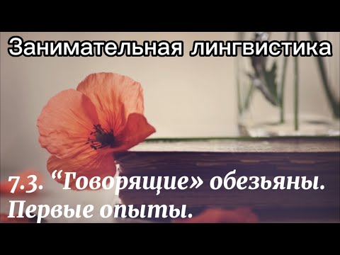 Видео: 7.3. “Говорящие” обезьяны. Первые опыты.