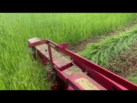 Видео: Сенокос 13.06.2025. Выезд на тракторе т-25 косить траву