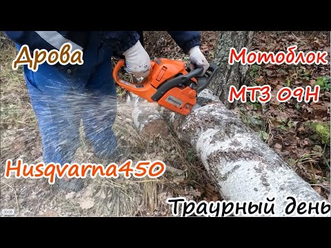 Видео: Первые дрова в новом сезоне.Грустный день.