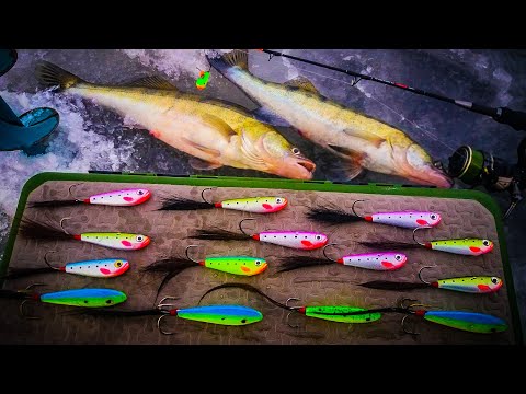 Видео: Ловля судака зимой на бокоплавы 2021, Ловля судака зимой, Судак