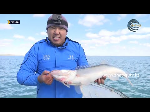 Видео: ОЛЖА - БАЛҚАШ КӨЛІ / КӨПБІРЛІК АУЫЛЫ / КӨКСЕРКЕ БАЛЫҒЫ / 10.10.21