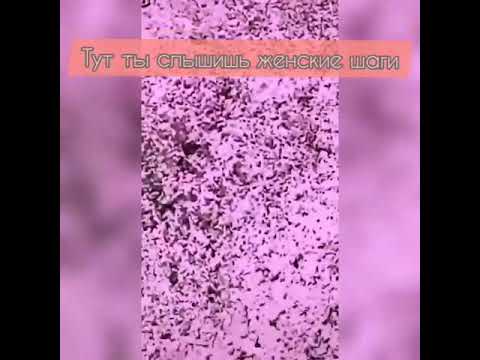 Видео: 25серия 💕"Жёсткий Кайф"//pov Payton Moormeier fan 💕❤️🌷