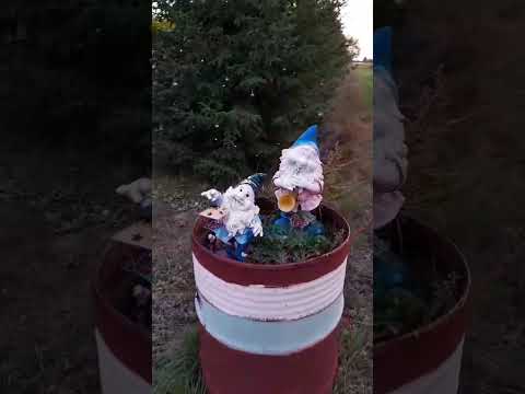 Видео: Оригинальная юрта, новый год, гномики в лесу.....